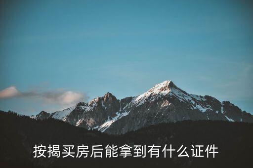 買(mǎi)房給什么證件,買(mǎi)房需要準(zhǔn)備哪些材料