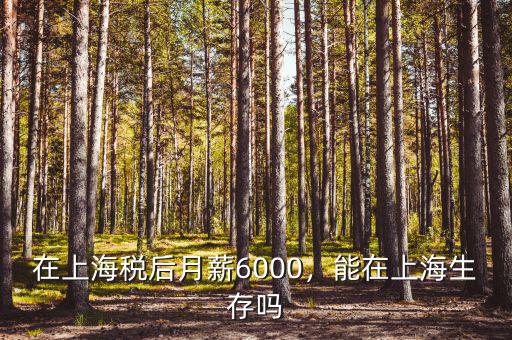 在上海稅后月薪6000，能在上海生存嗎