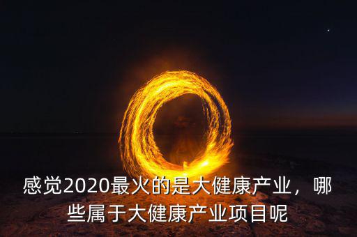 感覺2020最火的是大健康產(chǎn)業(yè)，哪些屬于大健康產(chǎn)業(yè)項目呢