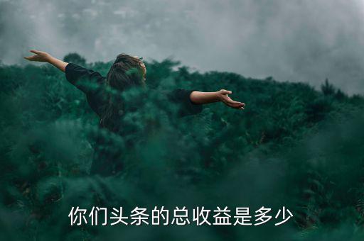 你們頭條的總收益是多少