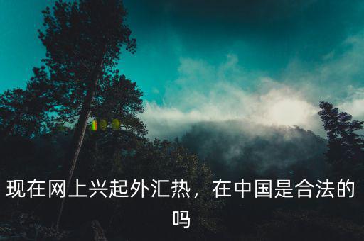 現(xiàn)在網(wǎng)上興起外匯熱，在中國是合法的嗎