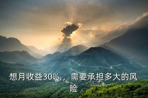 想月收益30%,，需要承擔(dān)多大的風(fēng)險(xiǎn)