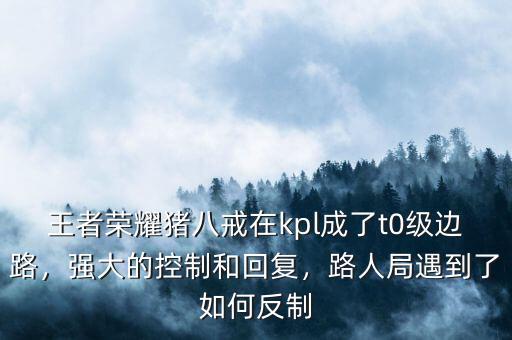 王者榮耀豬八戒在kpl成了t0級(jí)邊路，強(qiáng)大的控制和回復(fù)，路人局遇到了如何反制