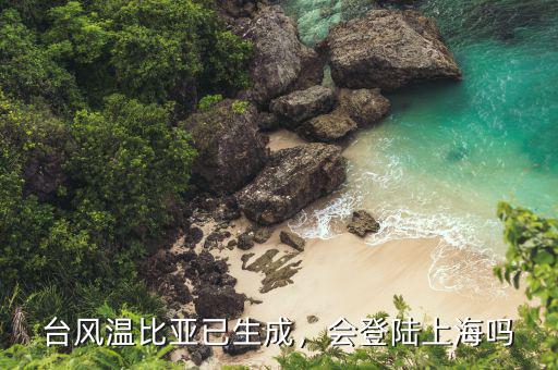 臺風(fēng)尼伯特什么時候登陸上海,會登陸上海嗎