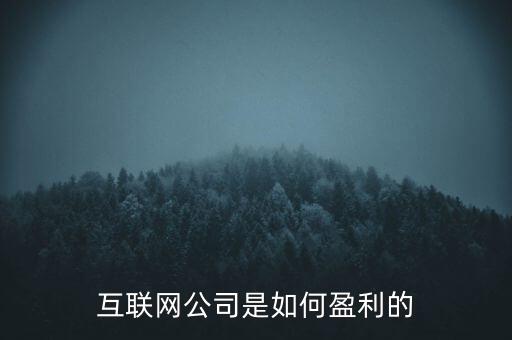 互聯(lián)網(wǎng)公司是如何盈利的