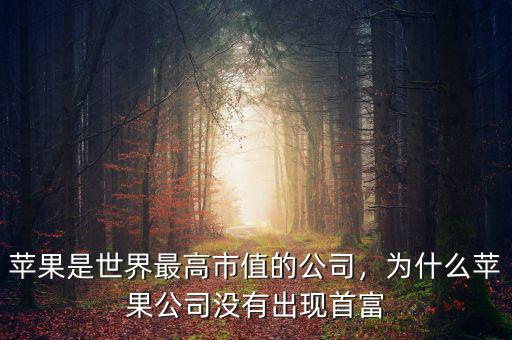 蘋果公司為什么市值那么高,為什么蘋果公司沒有出現(xiàn)首富