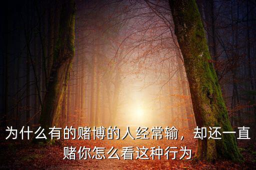 為什么賭博的人都貪,為什么有的賭博的人經(jīng)常輸