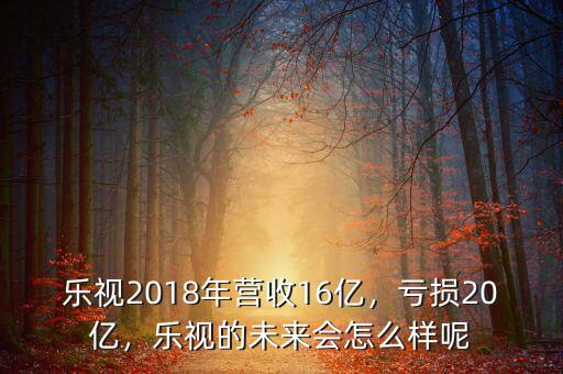 樂視2018年營收16億，虧損20億，樂視的未來會怎么樣呢