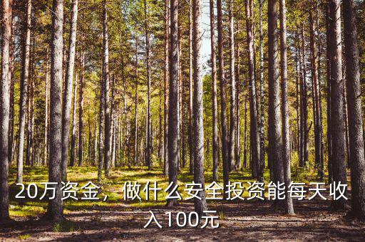 20萬(wàn)資金，做什么安全投資能每天收入100元