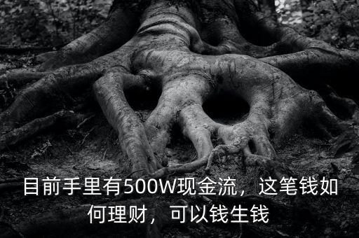 目前手里有500W現金流，這筆錢如何理財，可以錢生錢