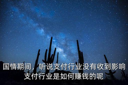 國情期間，聽說支付行業(yè)沒有收到影響支付行業(yè)是如何賺錢的呢