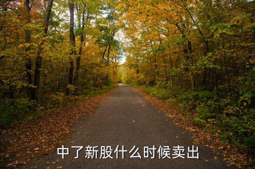 中了新股什么時(shí)候賣(mài)出