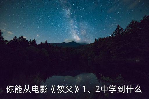 你能從電影《教父》1、2中學到什么