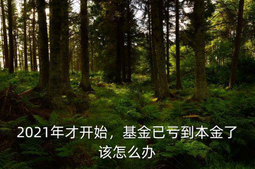 2021年才開始，基金已虧到本金了該怎么辦