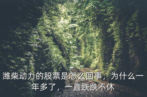 濰柴動(dòng)力的股票是怎么回事，為什么一年多了，一直跌跌不休