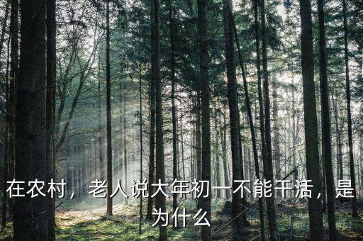 在農(nóng)村，老人說大年初一不能干活，是為什么