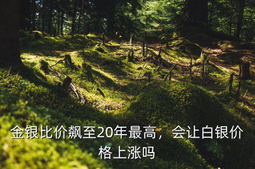 金銀比價飆至20年最高，會讓白銀價格上漲嗎