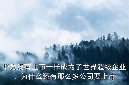 華為沒有上市一樣成為了世界超級(jí)企業(yè)，為什么還有那么多公司要上市