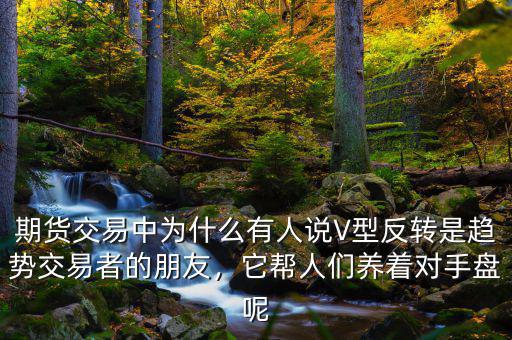 期貨交易中為什么有人說V型反轉是趨勢交易者的朋友，它幫人們養(yǎng)著對手盤呢