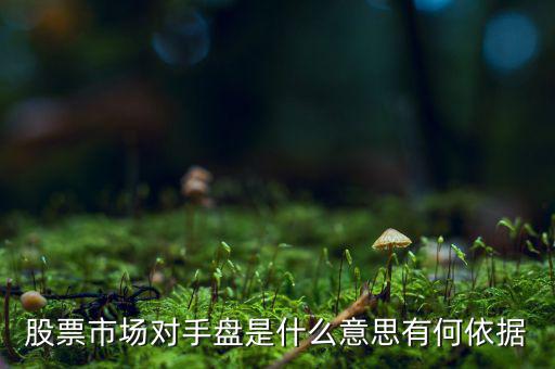 股票市場對手盤是什么意思有何依據(jù)