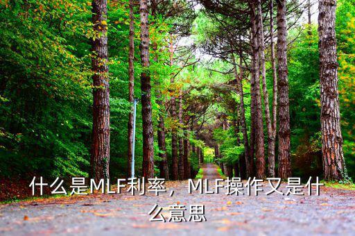 什么是MLF利率，MLF操作又是什么意思