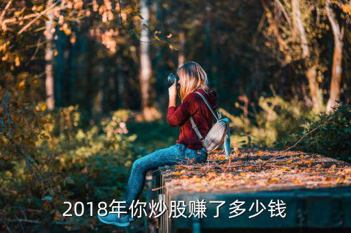 2018年你炒股賺了多少錢