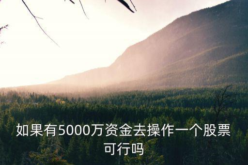 如果有5000萬(wàn)資金去操作一個(gè)股票可行嗎