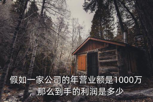 假如一家公司的年營業(yè)額是1000萬，那么到手的利潤是多少