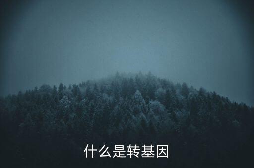 什么是轉(zhuǎn)基因