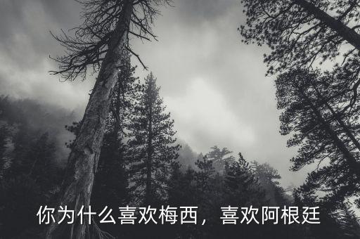 你為什么喜歡梅西，喜歡阿根廷