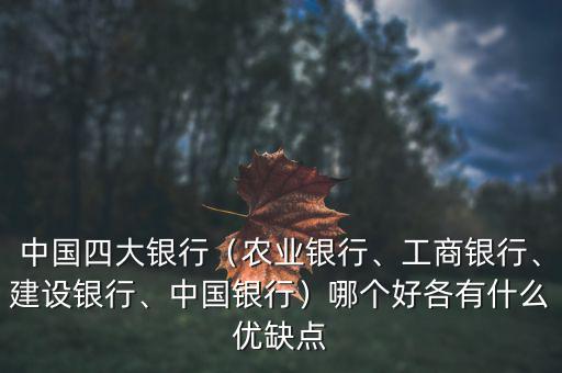 中國四大銀行（農業(yè)銀行、工商銀行、建設銀行、中國銀行）哪個好各有什么優(yōu)缺點