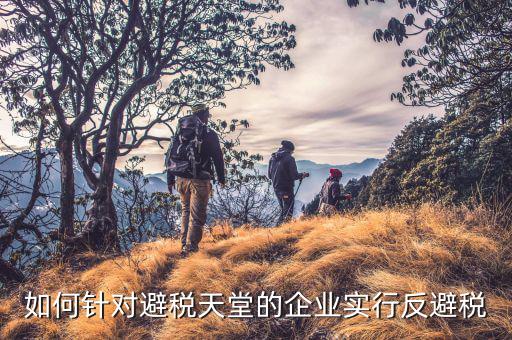 如何針對避稅天堂的企業(yè)實行反避稅