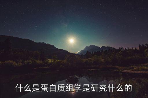 什么是蛋白質(zhì)組學(xué)是研究什么的