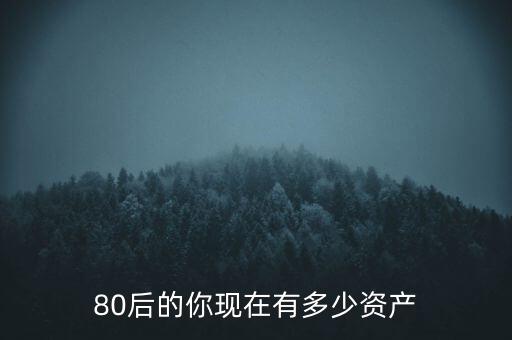 80后的你現(xiàn)在有多少資產(chǎn)