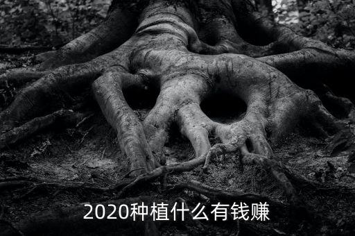 2020種植什么有錢賺