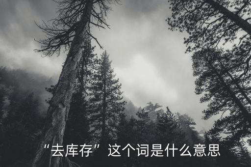 渠道庫(kù)存是什么意思,去庫(kù)存這個(gè)詞是什么意思