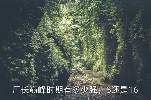 李河君巔峰時期有多少,廠長巔峰時期有多少強