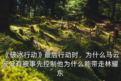 余振東為什么,他為什么能帶走林耀東