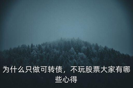 為什么只做可轉(zhuǎn)債，不玩股票大家有哪些心得