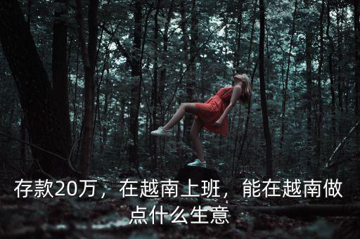 存款20萬，在越南上班，能在越南做點什么生意