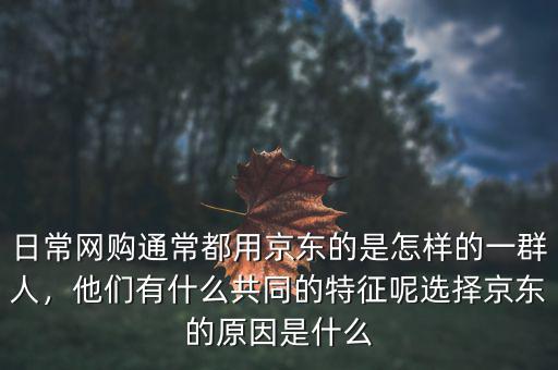 日常網(wǎng)購?fù)ǔ６加镁〇|的是怎樣的一群人，他們有什么共同的特征呢選擇京東的原因是什么