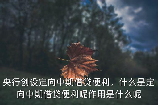 什么是常設借貸便利,什么是定向中期借貸便利呢