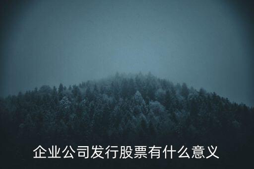 企業(yè)公司發(fā)行股票有什么意義