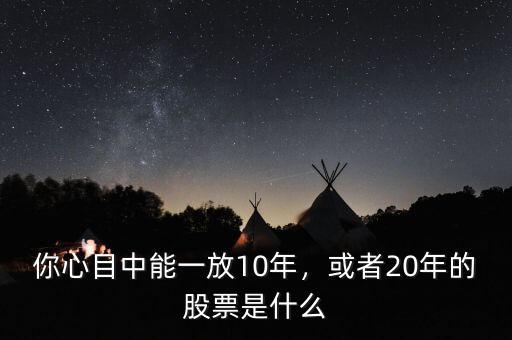 你心目中能一放10年，或者20年的股票是什么