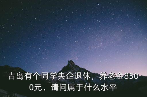 央企中層什么水平,請(qǐng)問屬于什么水平