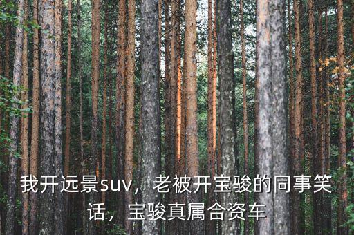 我開遠景suv，老被開寶駿的同事笑話，寶駿真屬合資車