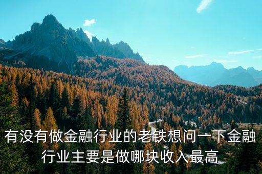 有沒有做金融行業(yè)的老鐵想問一下金融行業(yè)主要是做哪塊收入最高