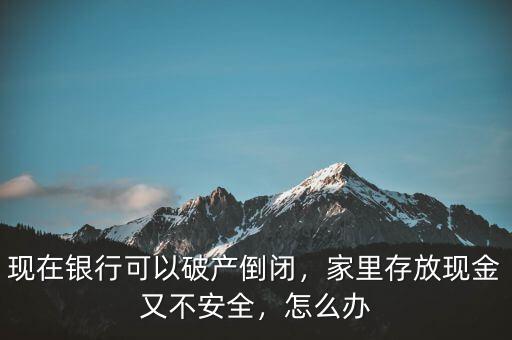 現(xiàn)在銀行可以破產(chǎn)倒閉，家里存放現(xiàn)金又不安全，怎么辦