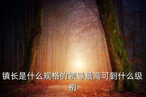 鎮(zhèn)長是什么規(guī)格的領(lǐng)導(dǎo)最高可到什么級別