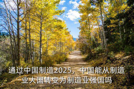 通過中國制造2025，中國能從制造業(yè)大國轉變?yōu)橹圃鞓I(yè)強國嗎